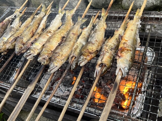 釣り立ての魚は絶品。