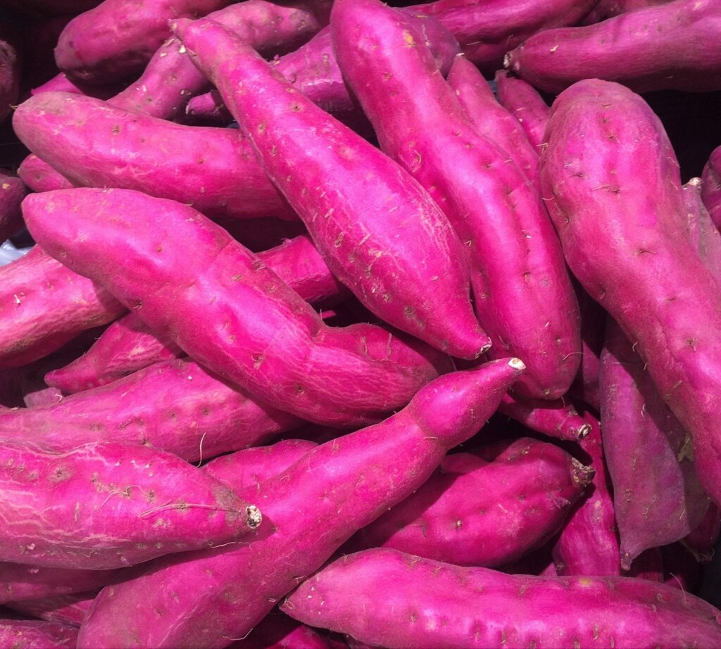 sweet potato, red-purple, vegetable, seiyu, ribin, supermarket, fruits and vegetables, sales floor, heiseicho, yokosuka, japan, sweet potato, sweet potato, sweet potato, sweet potato, sweet potato