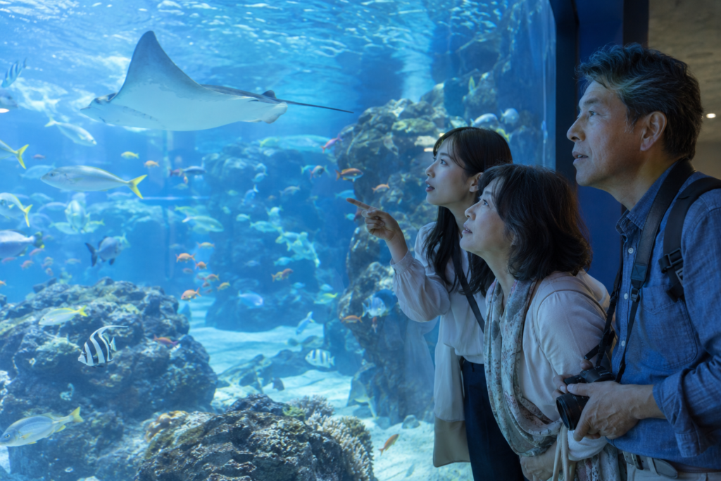 鳥羽水族館をイメージした大水槽に見入る大人の家族